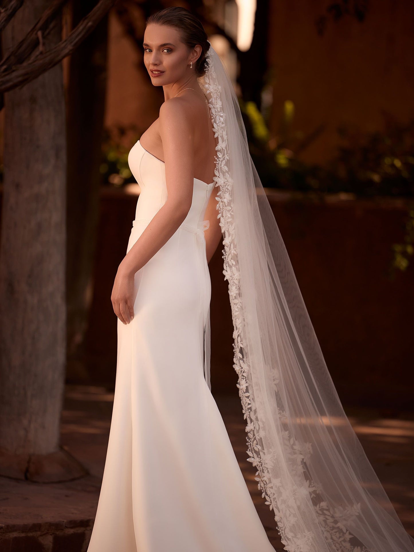 Cathedral Lace Edge Wedding Veil | Bianco Evento S541 - Topknot Tiaras & Veils