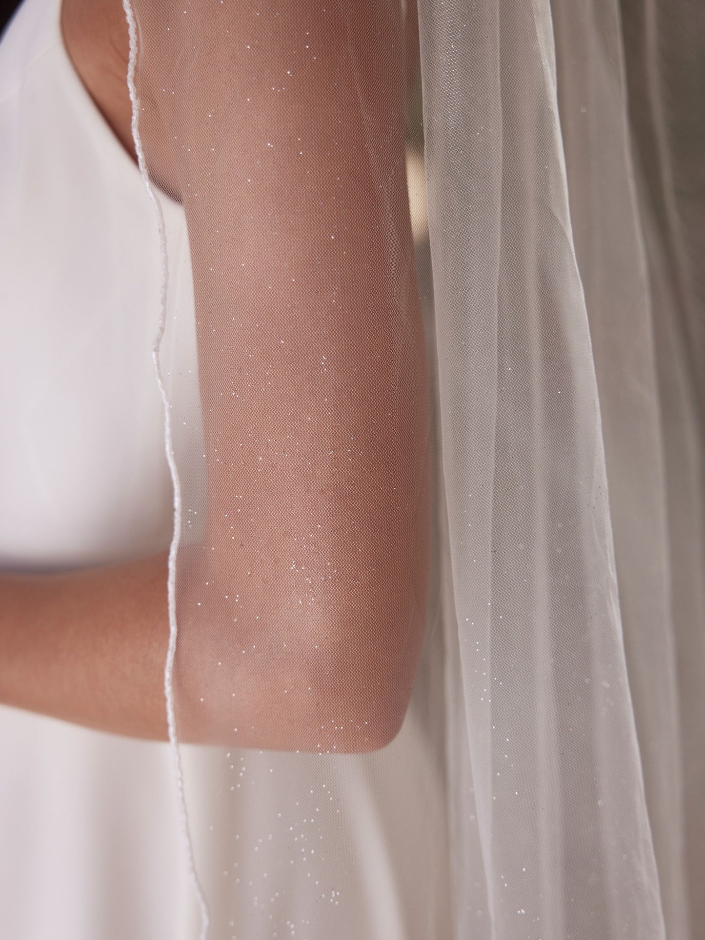 Cathedral Length Glitter Tulle Wedding Veil | Bianco Evento S521 - Topknot Tiaras & Veils