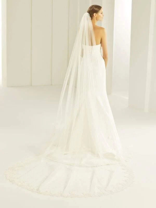 Cathedral length bridal veil with lace trim flowing elegantly behind the bride.