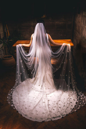 
            
                Load image into Gallery viewer, Single Tier Cathedral Length Wedding Veil, Ivory with 3D Flowers
            
        
